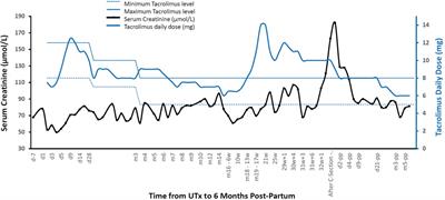 Case Report: Post-Partum SARS-CoV-2 Infection After the First French Uterus Transplantation